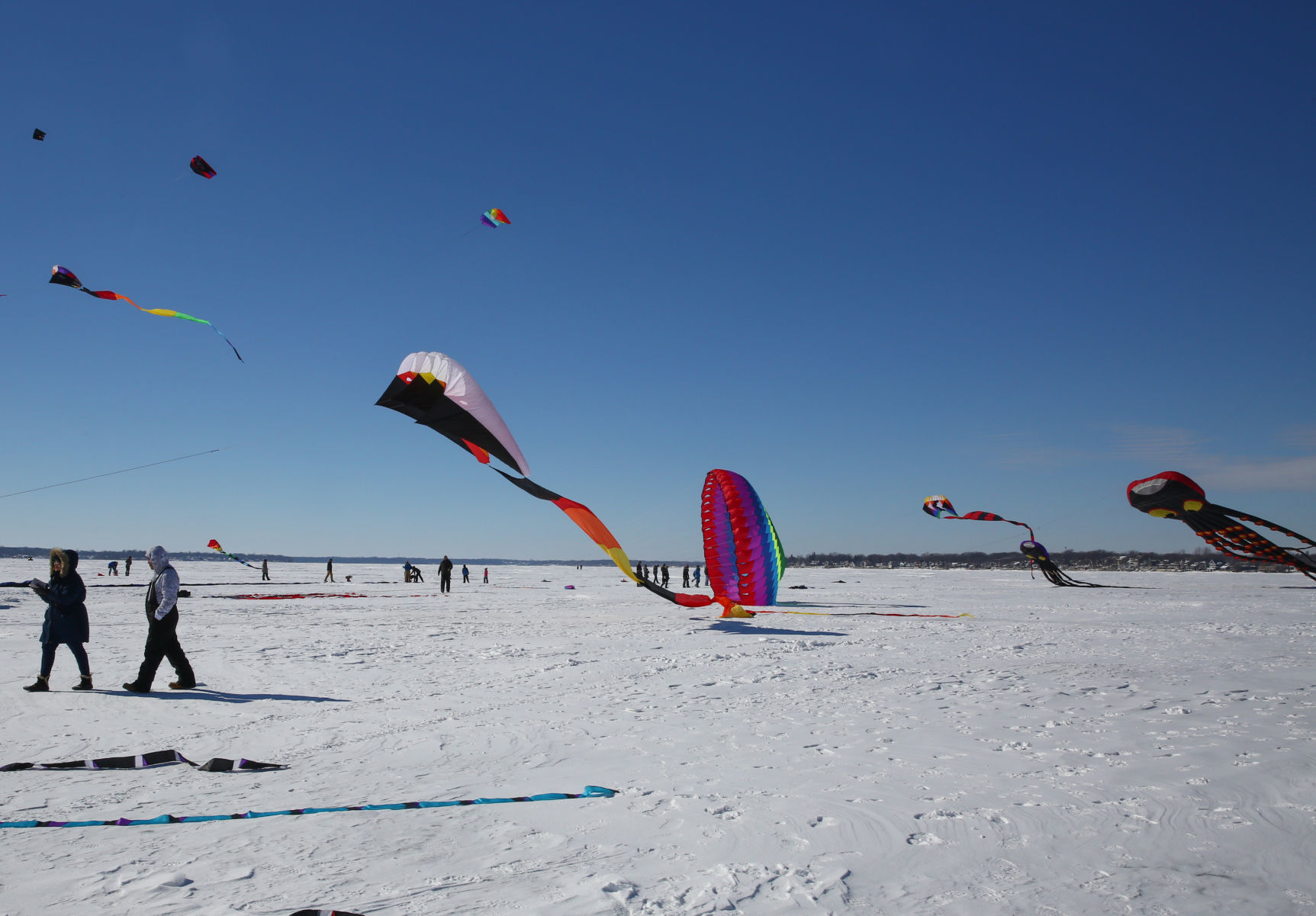 Color the Wind Kite Festival 2019 (2).jpg